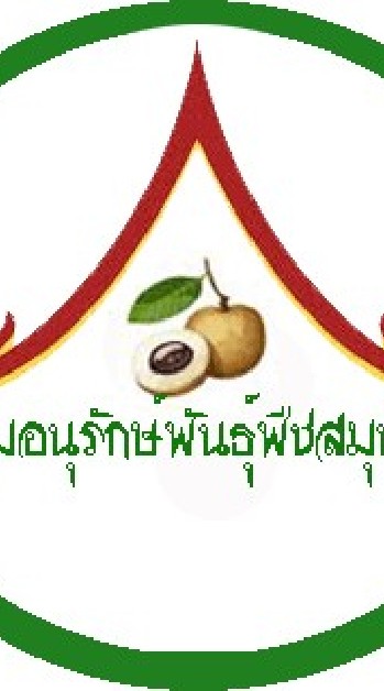 อนุรักษ์พันธุ์พืชสมุนไพรสอยดาว