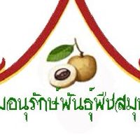 อนุรักษ์พันธุ์พืชสมุนไพรสอยดาว