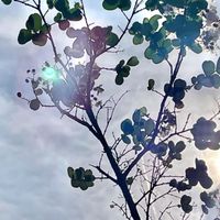 🍀還暦からの　しゃべり場倶楽部🍀