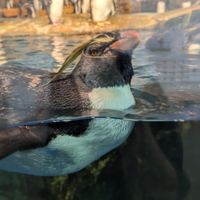 湯沢市・横手市など秋田県南の運動・ジム交流チャット