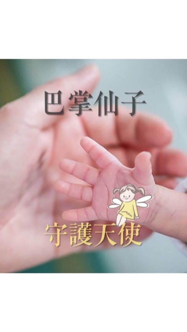 巴掌仙子的守護天使🧚‍♀️