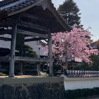 福成寺LINE【浄土真宗】