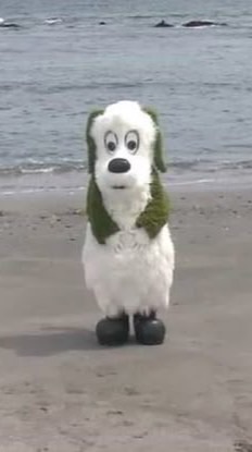 かまちょ集合‼️‼️