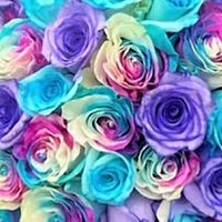 (*´˘`*)🩷50歳60歳の方🥂💕🥀  雑談🌠愚痴🩵のんびりトーク部屋です♥ポケカラ🎶🎤OK👌