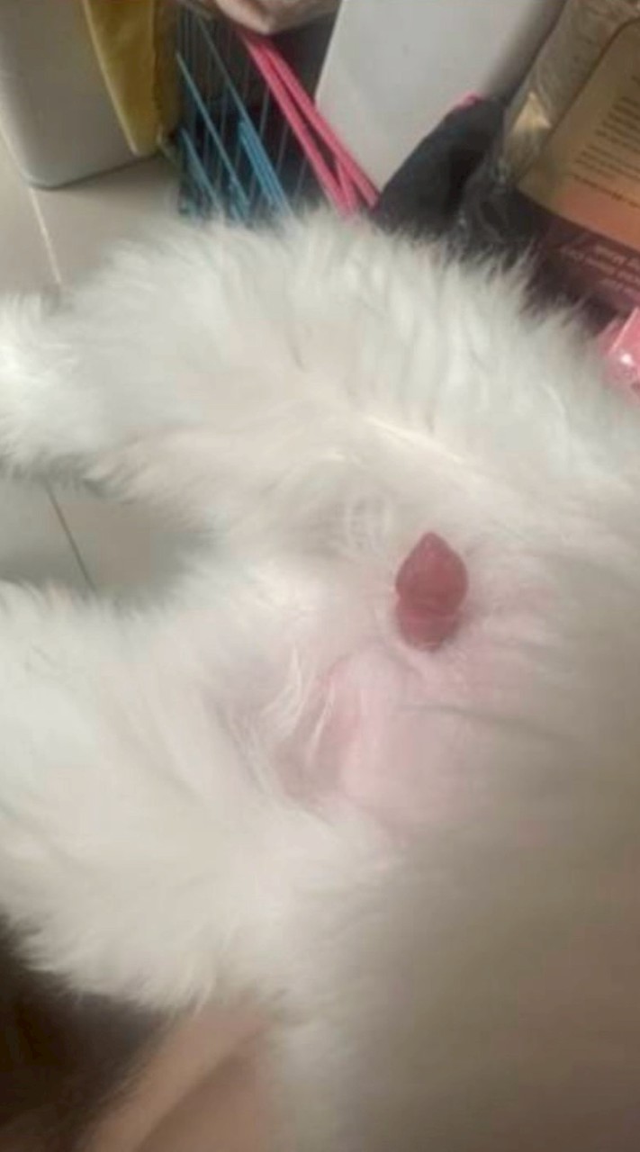 迷人的危險ROX工會社群