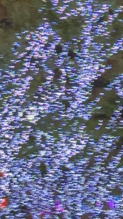 ✖️✖️日後にデビューする歌い手募集