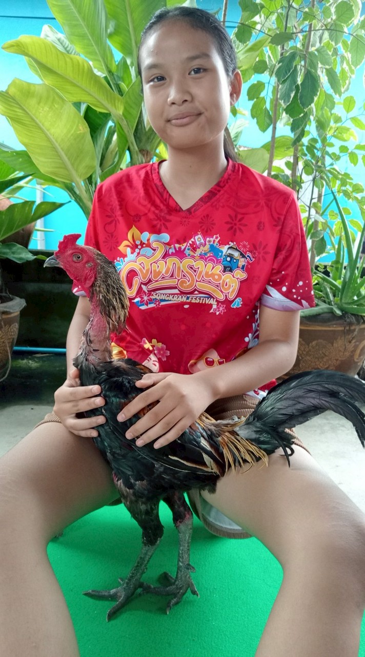ซุ้ม ป.เปา ฟาร์ม 101