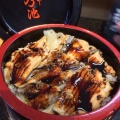 穴子丼 - 実際訪問したユーザーが直接撮影して投稿した谷中寿司すし 乃池の写真のメニュー情報