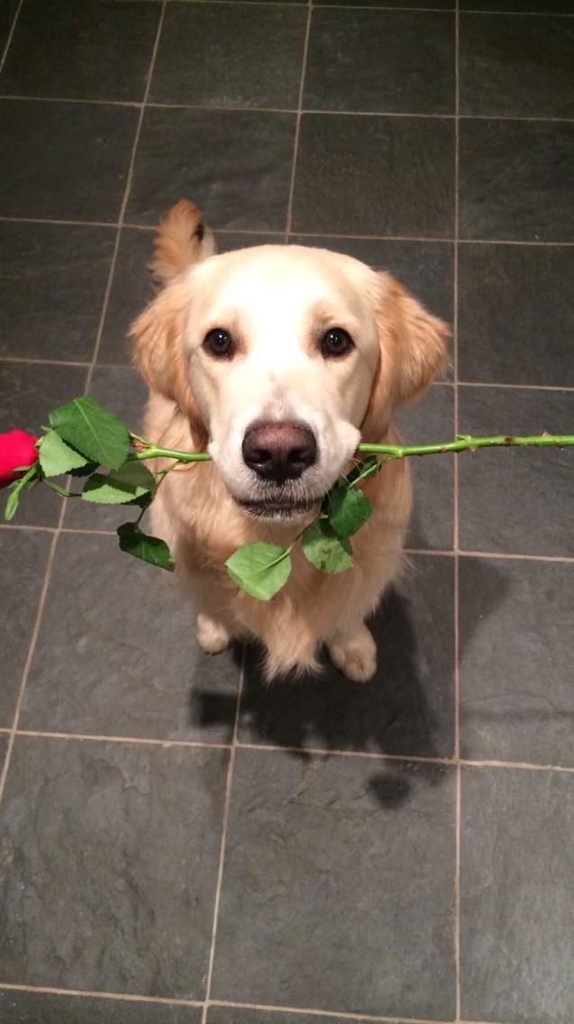 รับฟังแต่ไม่ตัดสิน savecost dcondo