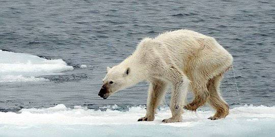 9 Tanda Kiamat Yang Telah Terjadi Di Bumi Merdeka Com Line Today