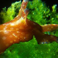 Fun Divers Taiwan