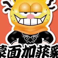 蒙面加菲貓 陀螺約戰交流