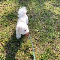 就是愛比熊