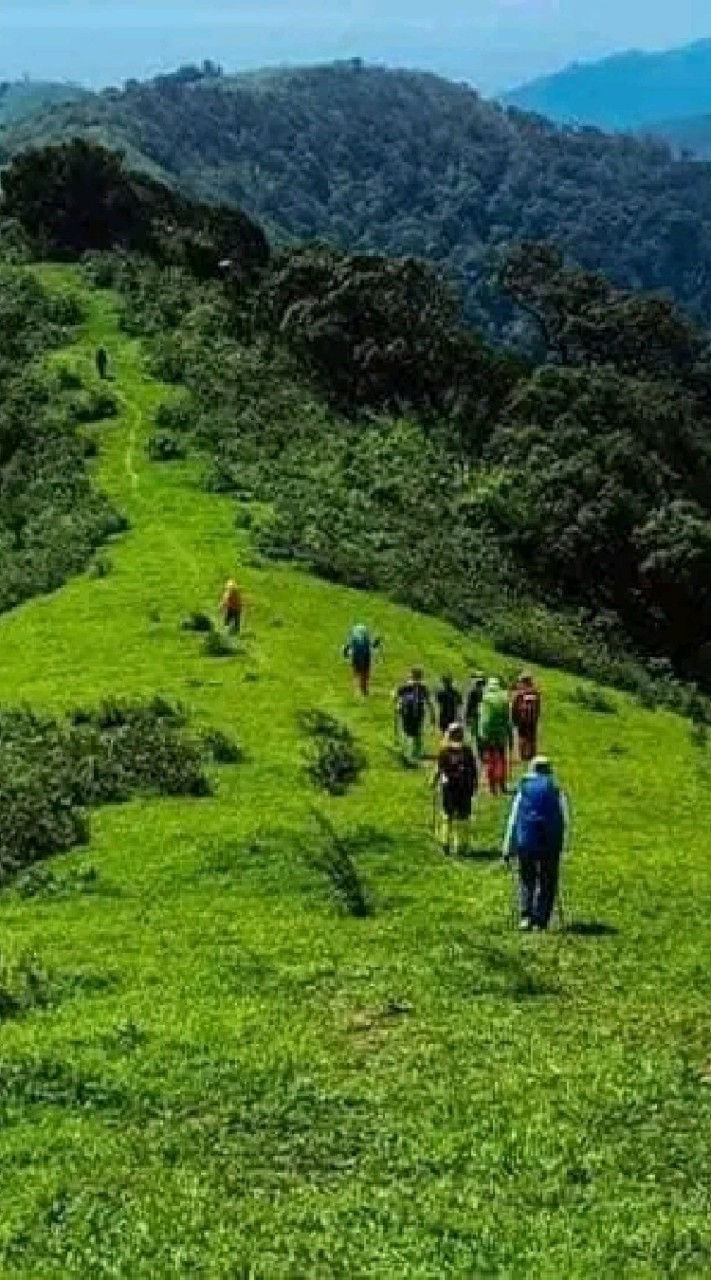 แจ้งทริป เข้าป่า two day one night trip