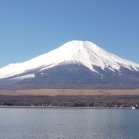 がん患者集まれ😁