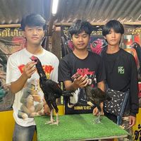 ซุ้ม ก.ก้องฟ้า (สายเเทงอุดรธานี)