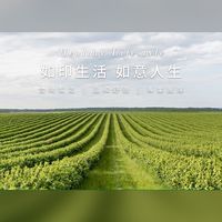 「如印之光」鑽石會員