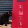 臥貓藏蛇の天團動物園