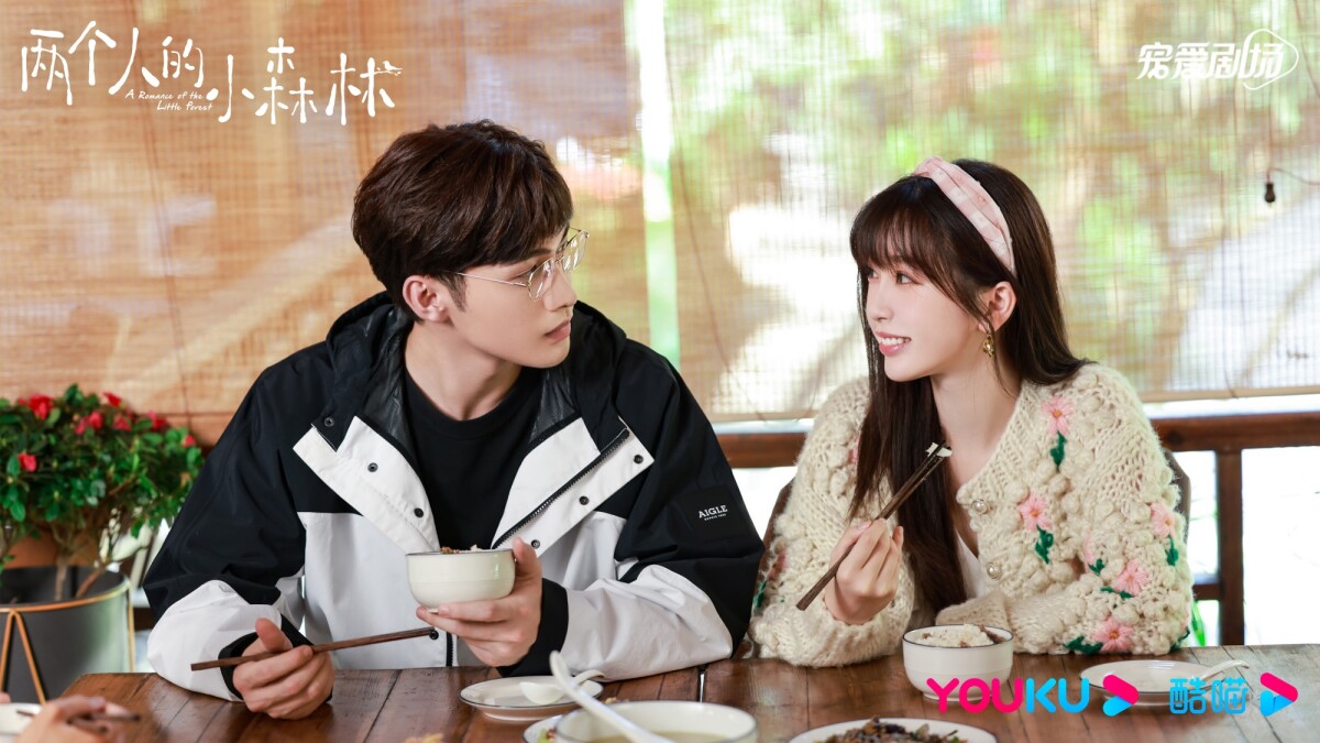 10位人氣女星「冷門高分陸劇」推薦！虞書欣《月光變奏曲》高甜，白鹿這部豆瓣8.5！