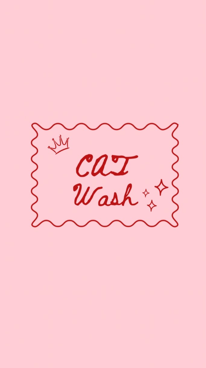 CaT WaSh