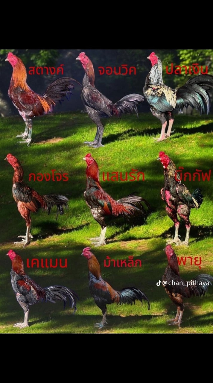 ซุ้มเพชรภาคิน