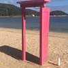 MARI枠裏オプチャ