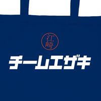 スポーツフェスタ🏆チームエザキ