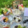 ５０代前後の🌈関東シングルともだち探し🍀☆。.:＊・゜🐕散歩☕️お茶会🥞ランチ会🎡日帰りプチ旅行