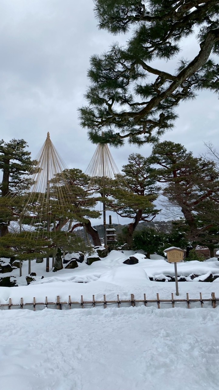 喜愛日本、生活聊天