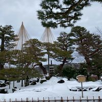 喜愛日本、生活聊天