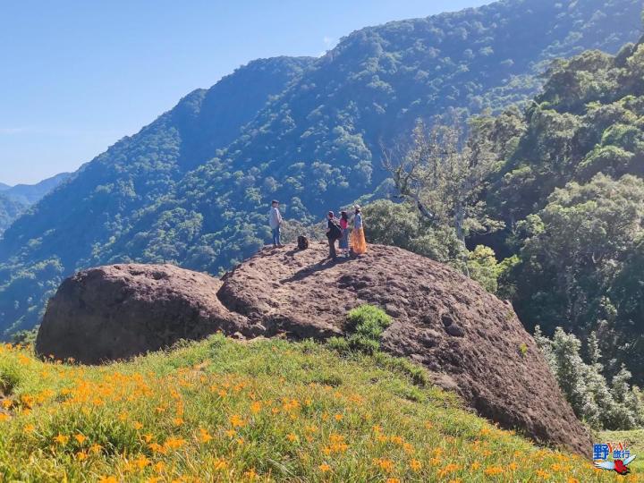 2023赤柯山金針花海必拍推薦8大景點 @Ya!Travel 野旅行新聞網