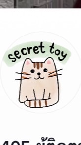 Secret toy