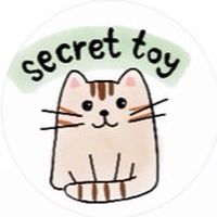 Secret toy