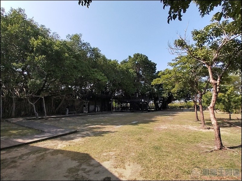 HTC Desire 20 拍攝樣張 - 06
