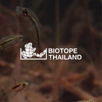 Biotope Thailand