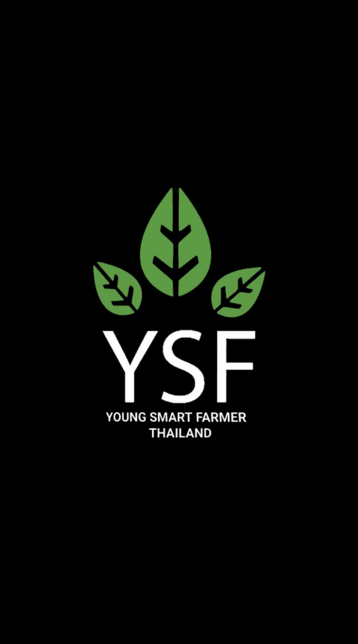 YSF Thailand