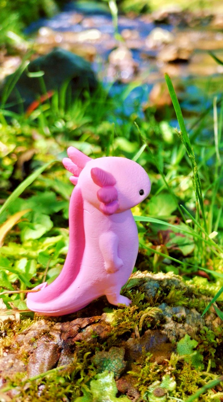 独り言🌻呟き〜ひとりじゃない〜