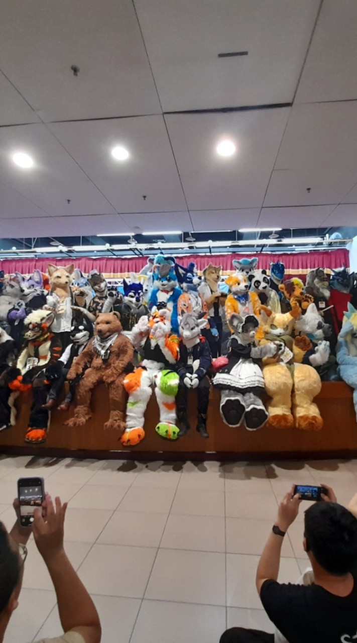 TW Furry Group