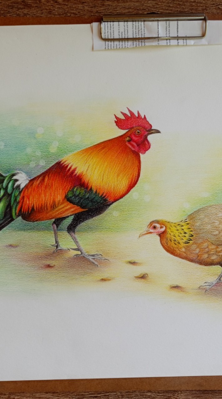 รัฐชนาวี ฟาร์ม อนุรักษ์ไก่ต่อไทย