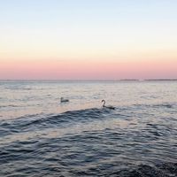 遠距工作者Mina。英文。旅遊。教學。閱讀。逛街。