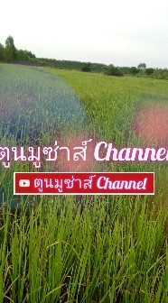 ToonMusaChannel