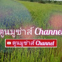 ToonMusaChannel