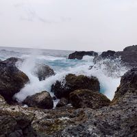 微风约骑