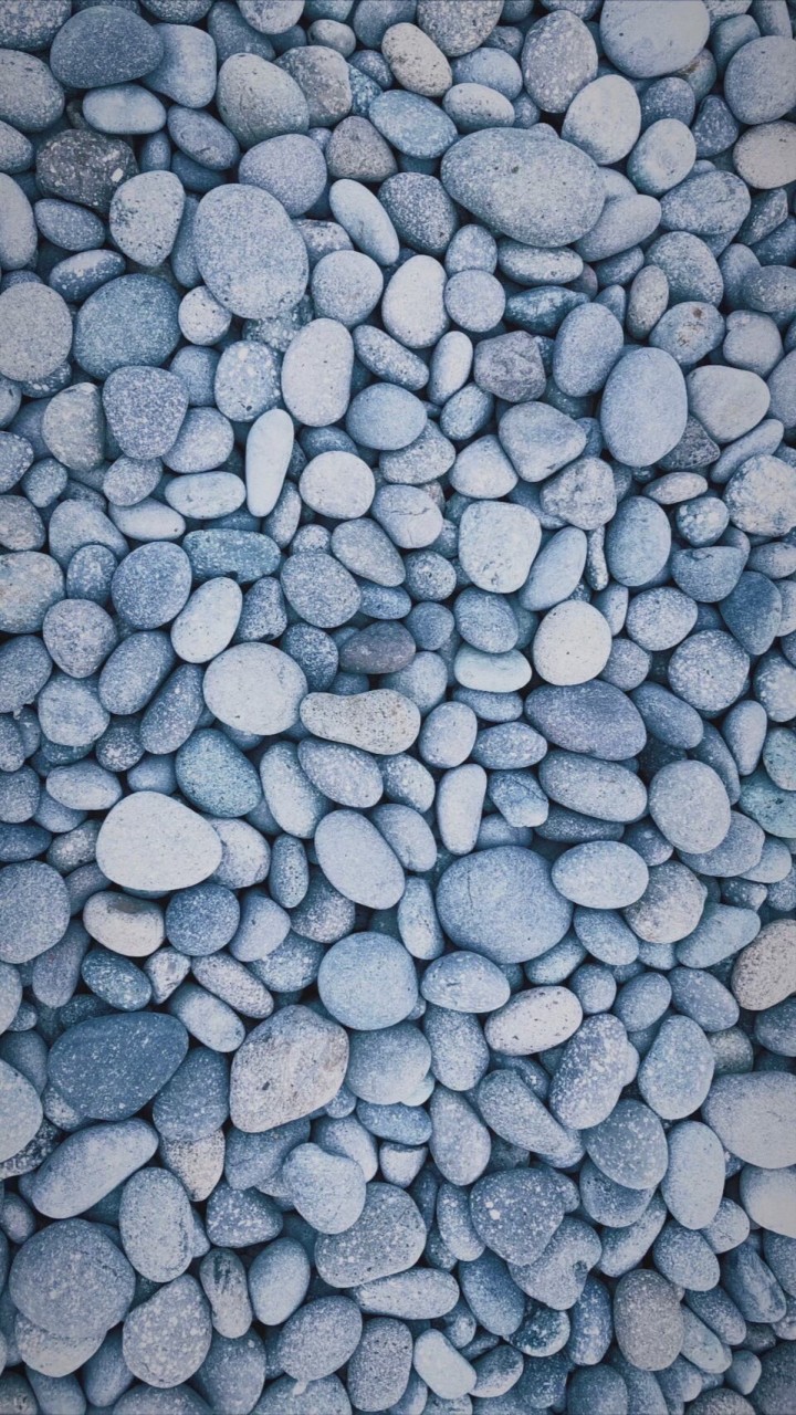 Ni