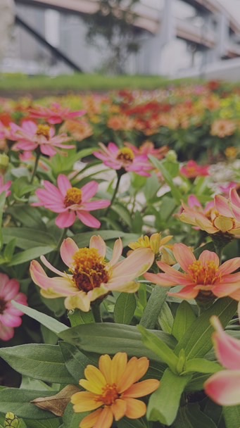 幸福生鮮雜貨團購