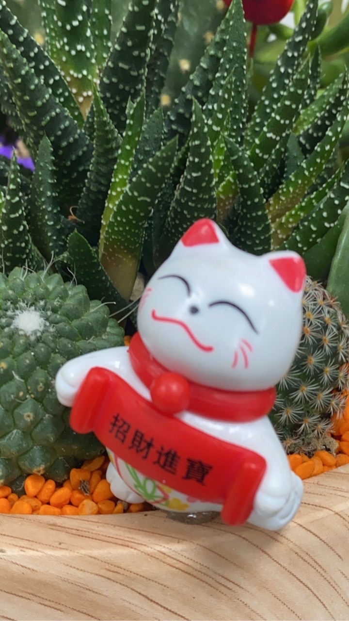 理財168