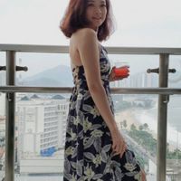 阮氏清金的越南語和越南觀點