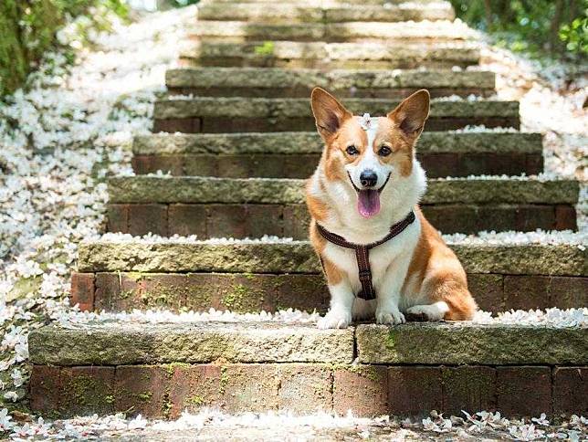 INSTAGRAM：@lugi811