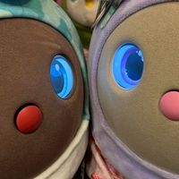 らぼっこ北海道