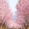 肉腫患者・家族の交流オプチャ｜みんなで支え合おう🌱
